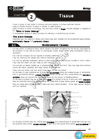 Allen_Tissue_Module&Exercise.pdf